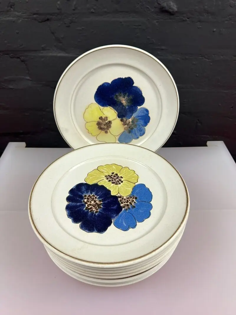 10 x Denby Stoneware Pot Pourri Hue Dinner Plates 10" Wide Set