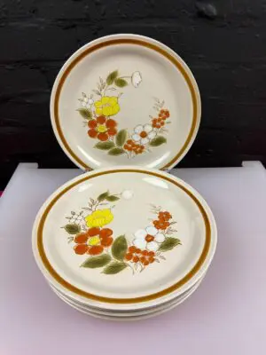6 Mountain Wood Collection Trellis Blossom Japan Stoneware Dinner Plates 10.75"
