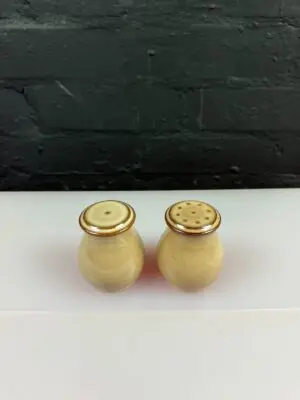 Denby Viceroy Salt and Pepper Pots / Shakers Cruet Set