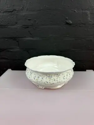 Royal Albert Caroline Large Fruit Vegetable Serving Bowl 25.5 cm x 10 cm RARE