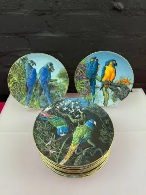 12 x Wedgwood Fragile Paradise Birds Plates Parrots 8" Wide Set