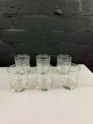 Portmeirion Botanic Garden Tumblers Glasses 285ml 10 fl oz 3.5" High Set of 6