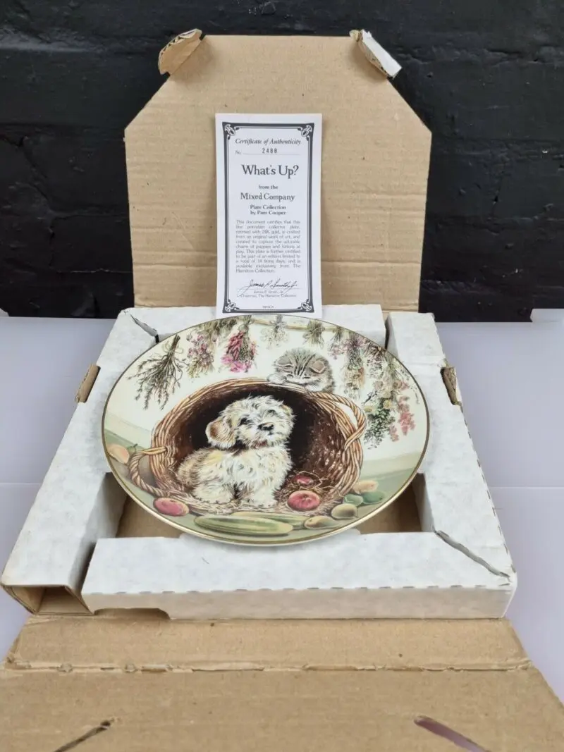 Royal Worcester What's Up? Boxed Coa