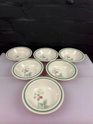 Wedgwood Raspberry Cane Fruit / Cereal Bowls 15.5 cm Wide Set of 6