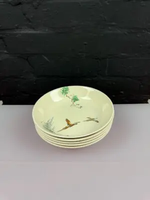 5 x Royal Doulton The Coppice Rimmed Soup / Pasta Bowls 7.5" Wide Set