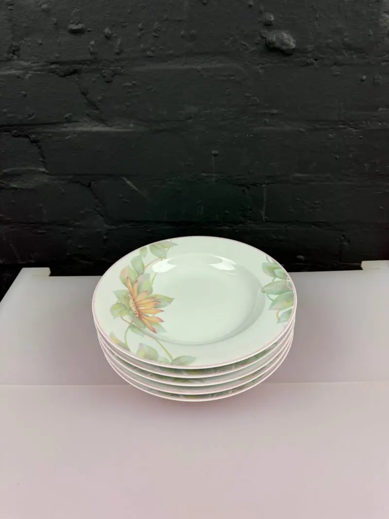 5 x Denby The Pastel Collection Rhapsody Rimmed Soup Bowls 9" Wide Set