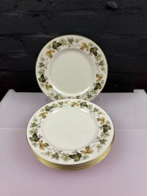 6 x Royal Doulton Larchmont T.C1019 Dessert Plates 9" ( 23 cm ) Wide Set