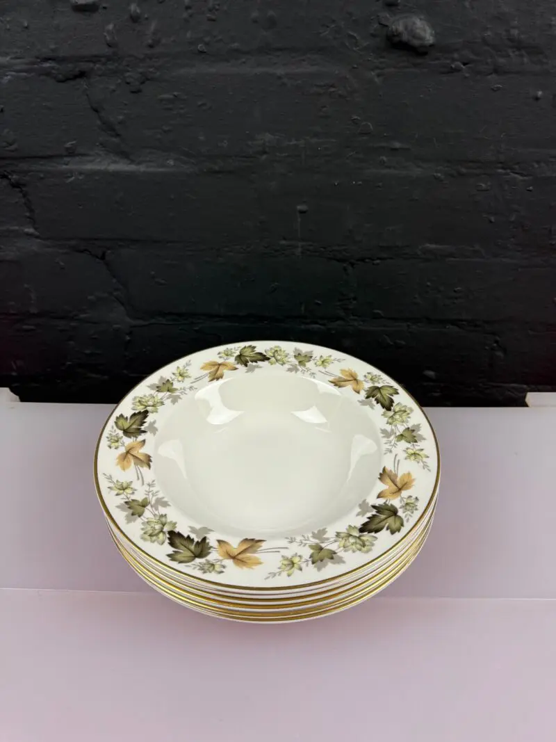 6 x Royal Doulton Larchmont TC1019 Rimmed Pasta / Soup Bowls 23 cm Wide Set