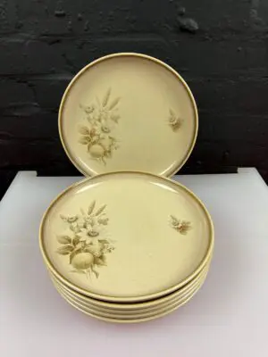 6 x Denby Memories / Images Dinner Plates 26 cm Wide Set