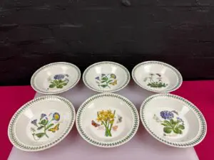6 x Portmeirion Botanic Garden Rimmed Soup / Pasta Bowls 8.5" Wide Set