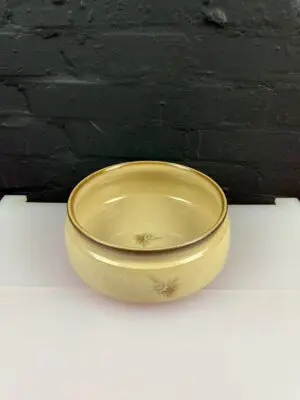 Denby Memories Fruit Vegetable Serving Dish Bowl 8.75" Wide 3.75" High