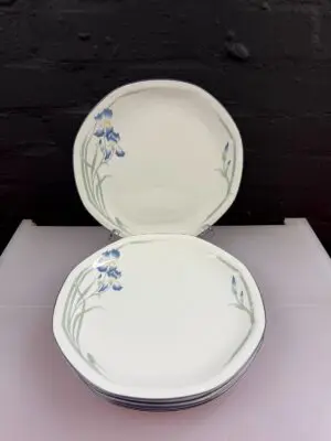 6 x Royal Doulton Minerva LS1084 Dinner Plates 27 cm Wide Set