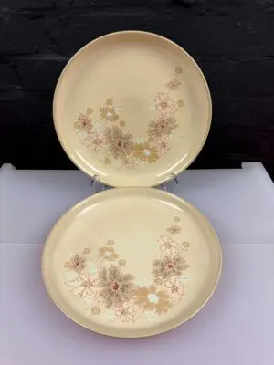 Denby Sandalwood / Maplewood Dinner Plates 26 cm Wide Set of 2