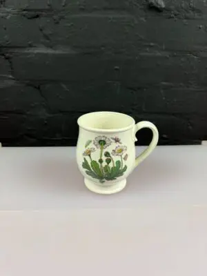 Portmeirion Botanic Garden Bristol Shape Tea / Coffee Mug 4.5" High Daisy RARE