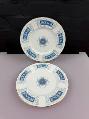 2 x Coalport Revelry Salad / Dessert Plates 23 cm 9" Wide Set