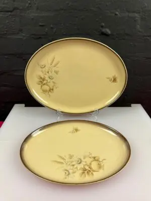 2 x Denby Memories / Images Oval Steak Dinner Plates / Platters 36 cm x 32.5 cm