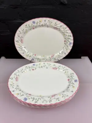 Johnson Brothers Summer Chintz Oval Steak Dinner Plates 12" Wide Set of 6