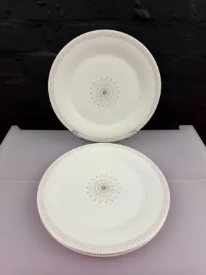 Royal Doulton Morning Star T.C1026 Dinner Plates 10.75" Wide Set of 3