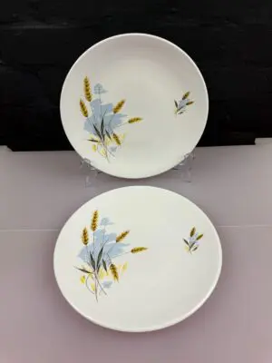 2 x Windsor Bone China Windswept Salad / Cake Plates 8.5" Wide Set