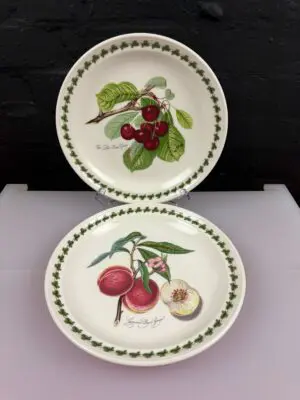 Portmeirion Pomona Dinner Plates Grimwoods Peach + Cherry 10.5" Wide Set of 2