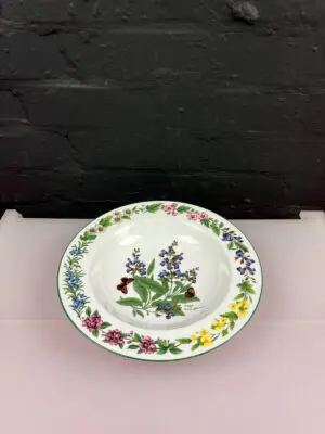Royal Worcester Herbs Extra Large Rimmed Pasta Bowl 10.5" Wide