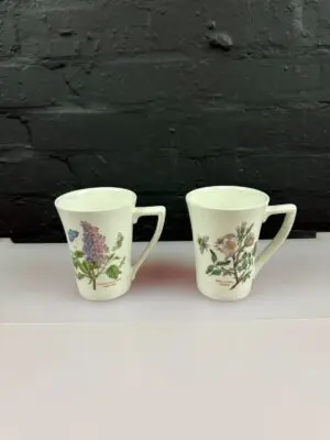 Portmeirion Botanic Garden Tapered Tea / Coffee Mugs 11.5 cm High Set of 2