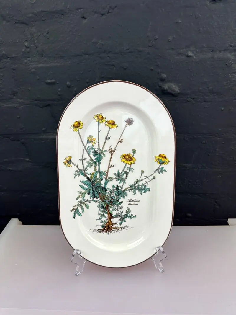Villeroy And & Boch Botanica Oval Carving Serving Platter Plate 33 cm Last 2