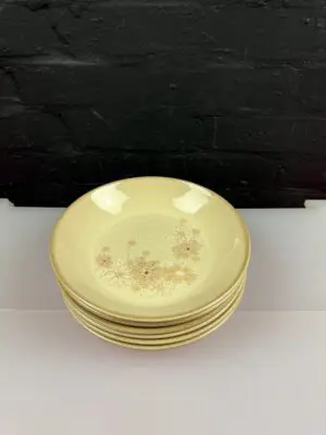 Denby Sandalwood / Maplewood Pasta Bowls 8.75" Wide RARE Set of 6