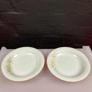 2 x Denby Water Garden Whisper Rimmed Soup / Pasta Bowls 22 cm Wide Set
