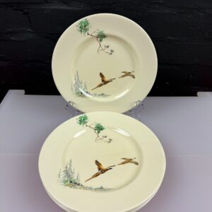 5 x Royal Doulton The Coppice D5803 Salad Plates 22 cm 8.75" Wide Set