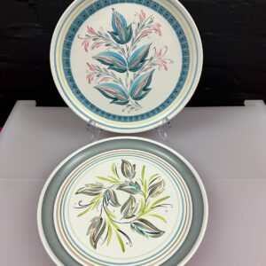 2 x Denby Glyn Colledge Abstract Floral Leaves Dinner Plates 25.5 cm Wide Set