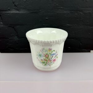 Aynsley Wild Tudor Large Planter Plant Pot 6.25" Wide x 5.5" High Embossed